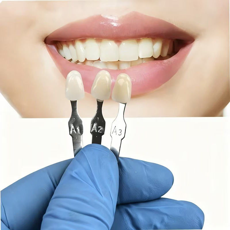VITA 16 Colors Teeth Shade Gui - Teeth Whitening Professional 评论和价格