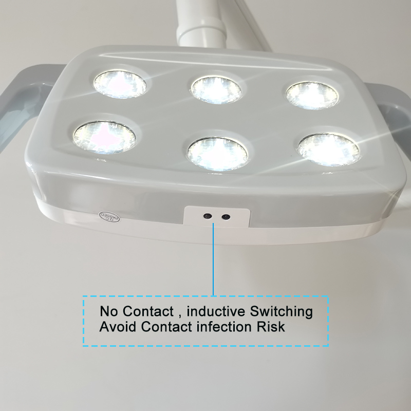 6LED Dental LED Lamp Oral Ligh - Teeth Whitening Professional 评论和价格