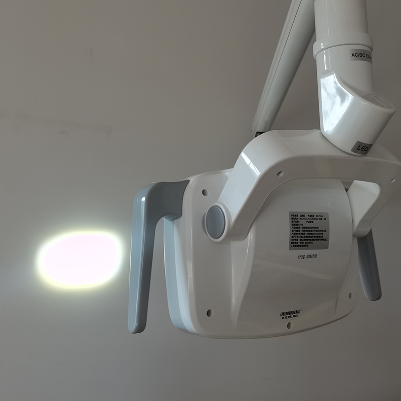 6LED Dental LED Lamp Oral Ligh - Teeth Whitening Professional 评论和价格