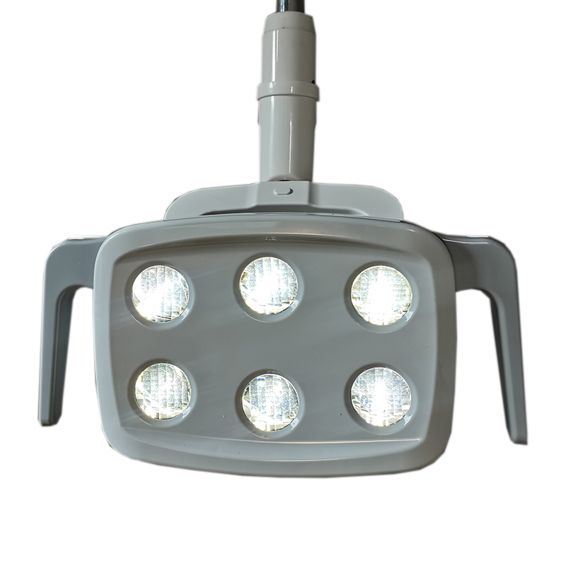 6LED Dental LED Lamp Oral Ligh - Teeth Whitening Professional 评论和价格